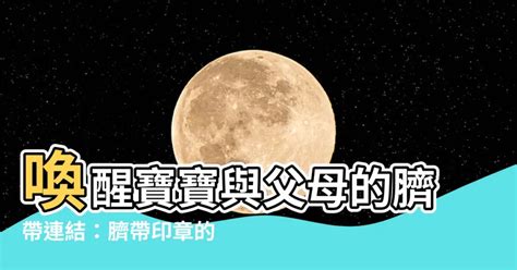 臍帶章意義|「臍帶」是媽媽與孩子的彼此連結 寶寶人生第一份禮。